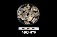 藏品(鈷土礦(土狀鈷礦) )的圖片